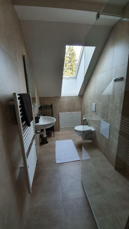 Apartmanovy Dom Lucky 188 Dolina Demianowska Zewnętrze zdjęcie